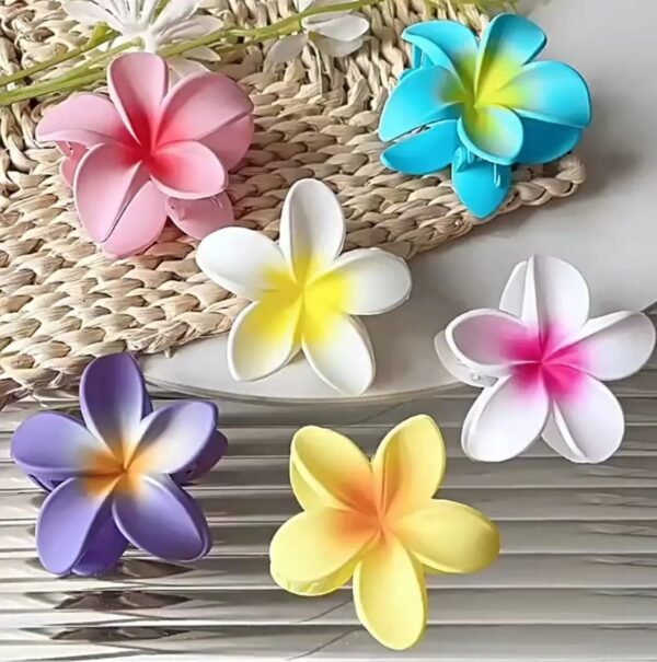 Matte Flower Gradient ( Pack of 12 )